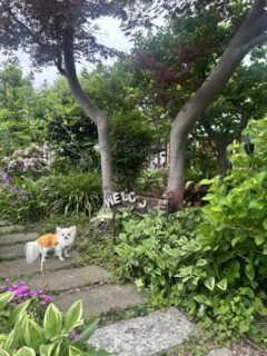 ６月ですね♪