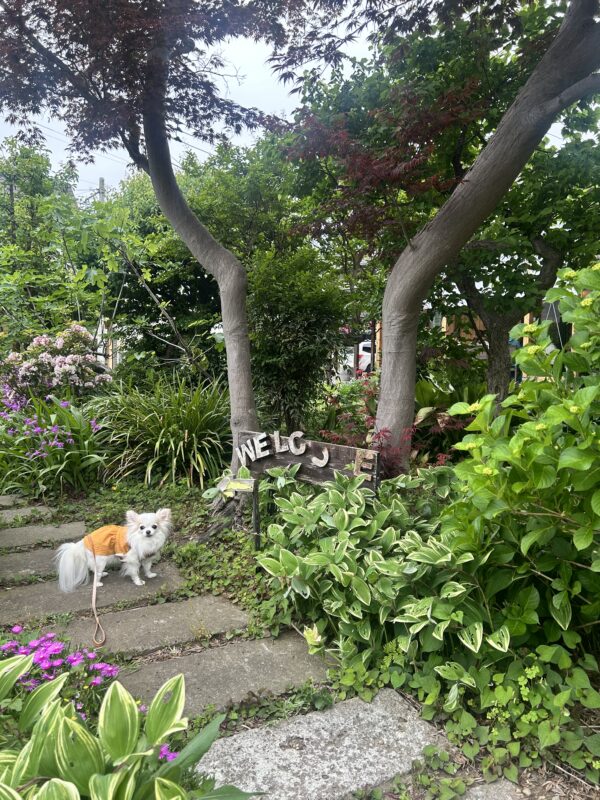 ６月ですね♪